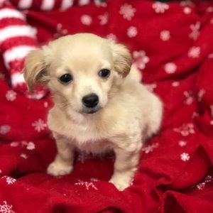 Meet your Posher, Jennifer